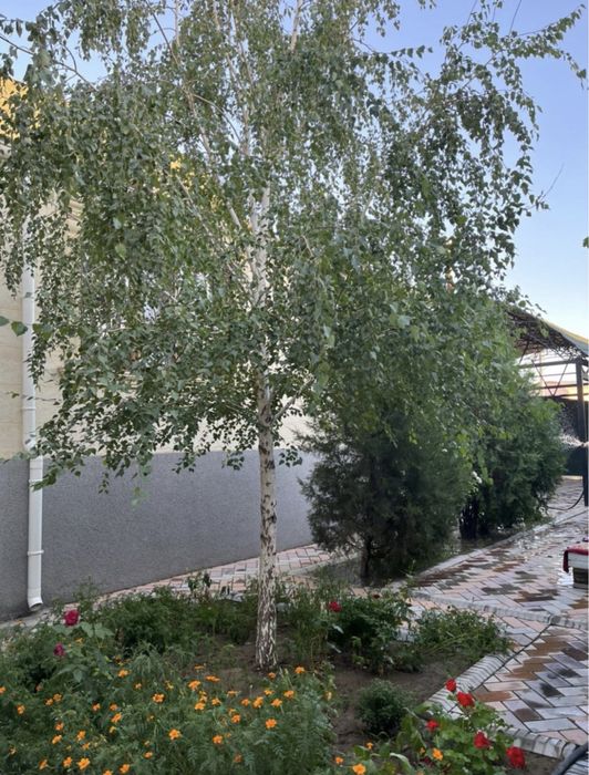 Гостевой дом