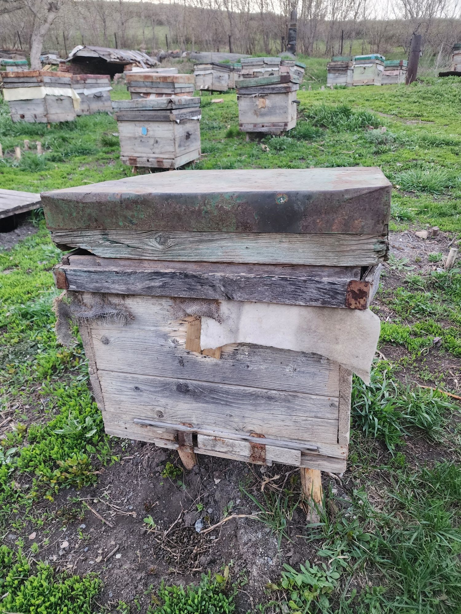 Улья, корпуса для пчёл