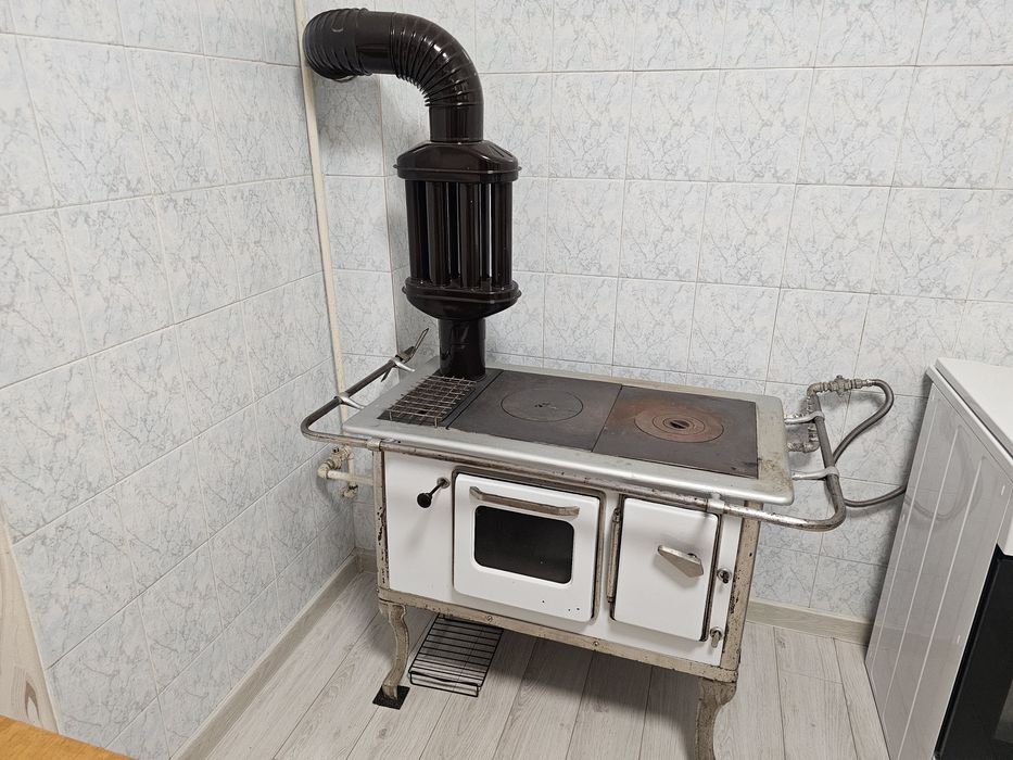 Soba pe gaz/lemne VESTA