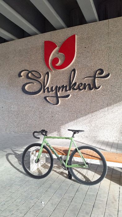 Фикс Tsunami snm100