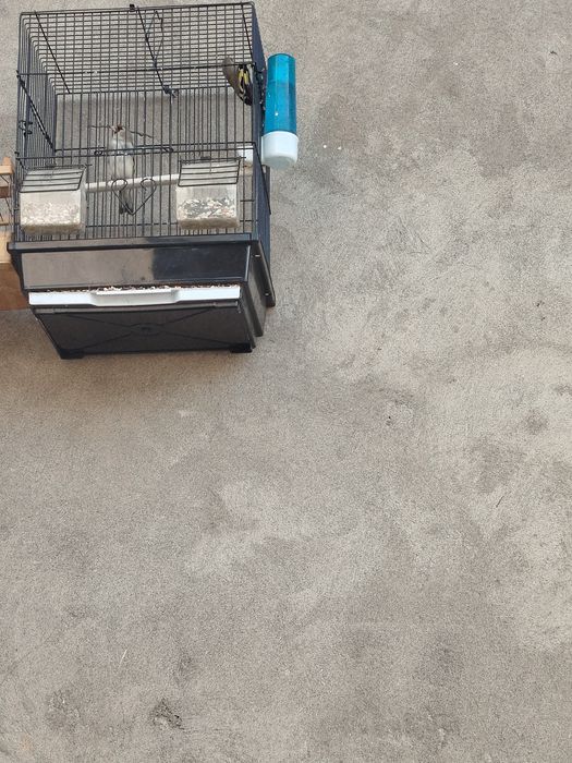 Sava sotiladi 2tasi ini bn