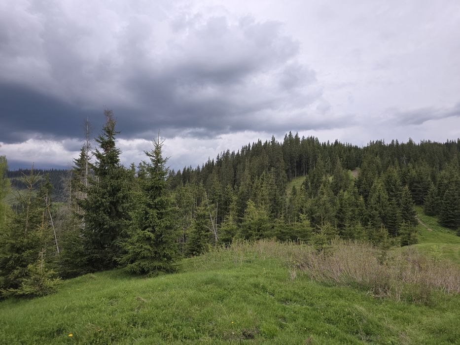 Teren extravilan 164900 MP