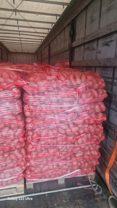 Cartofi import Franta 25kg