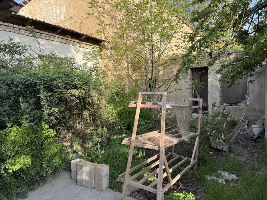 Sibirki kuchasidan xovli sotilyapti