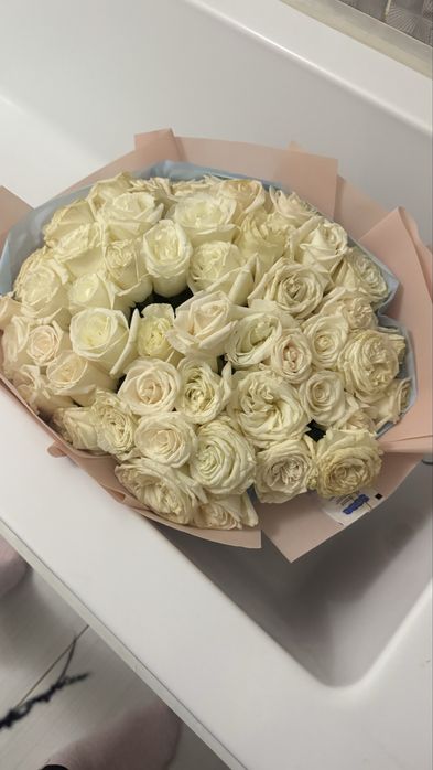 51 штук розы,свежие
