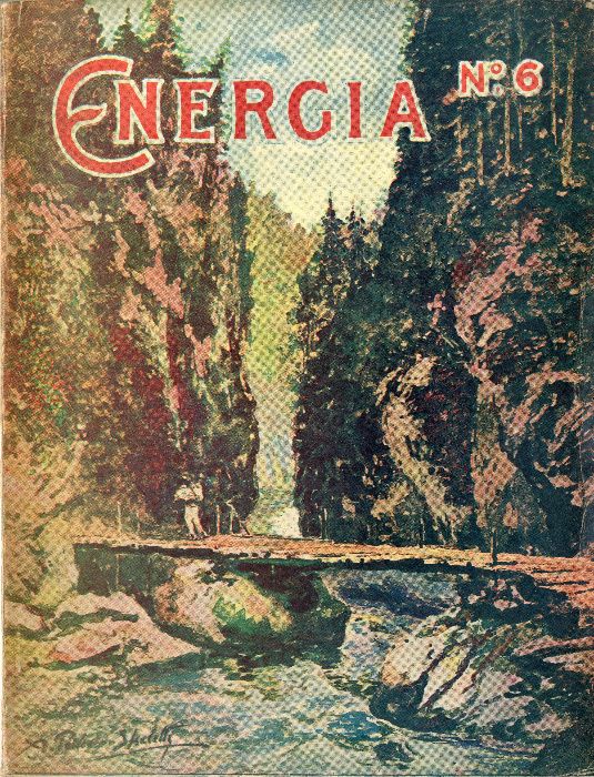 Energia - Dimitrie Leonida Revista nr.1-12 anii '20 Colectie Completa