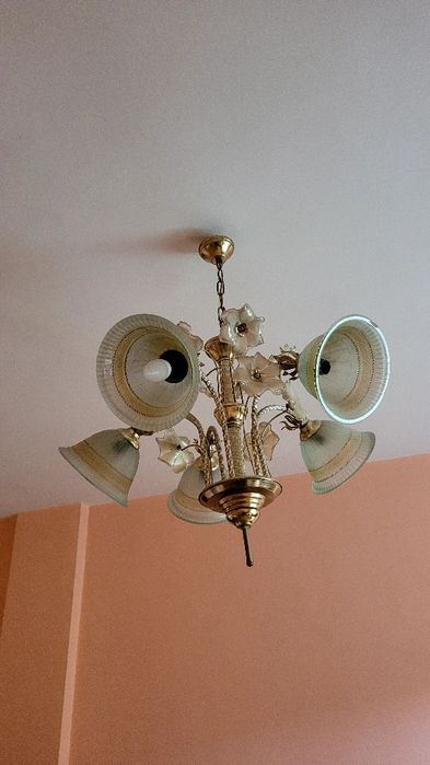 Полилей четири и пет чашки