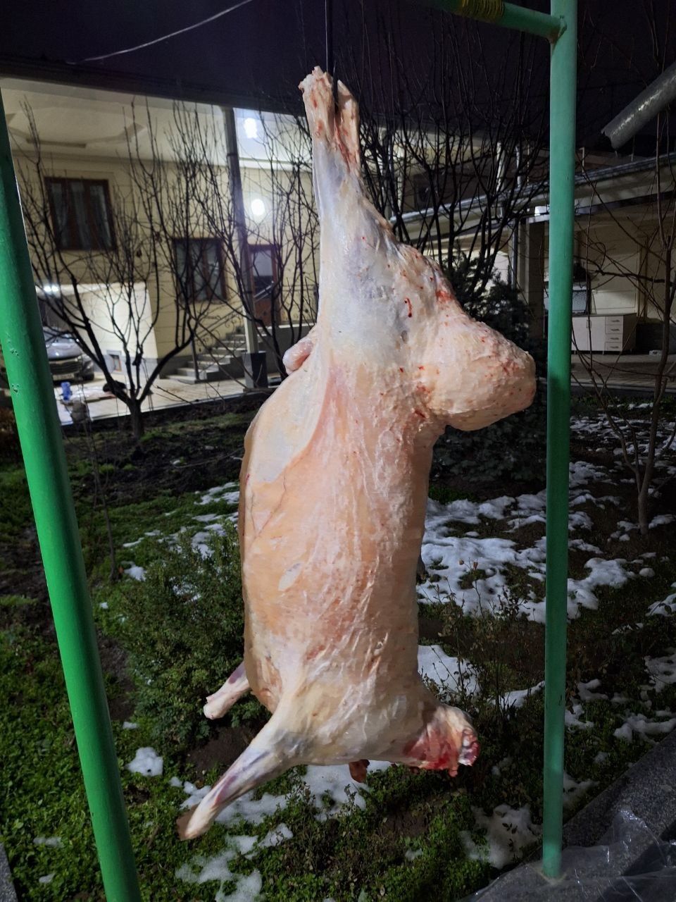 Кассоп qo'y so'yish qassop