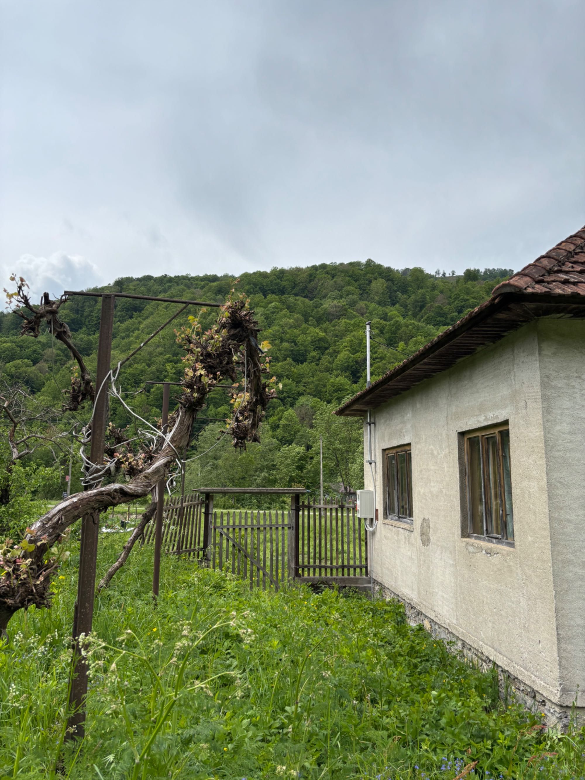 Vând casă și teren în Munteni, comuna Bulz ( Bihor) cu ieșire la DJ