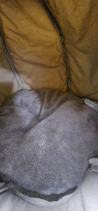 Pătuț pentru psici