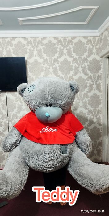 Teddy bear holati yaxshi