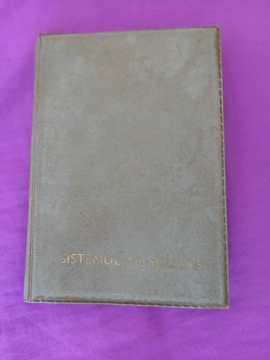 Album cu 48 diapozitive. Sistemul muscular