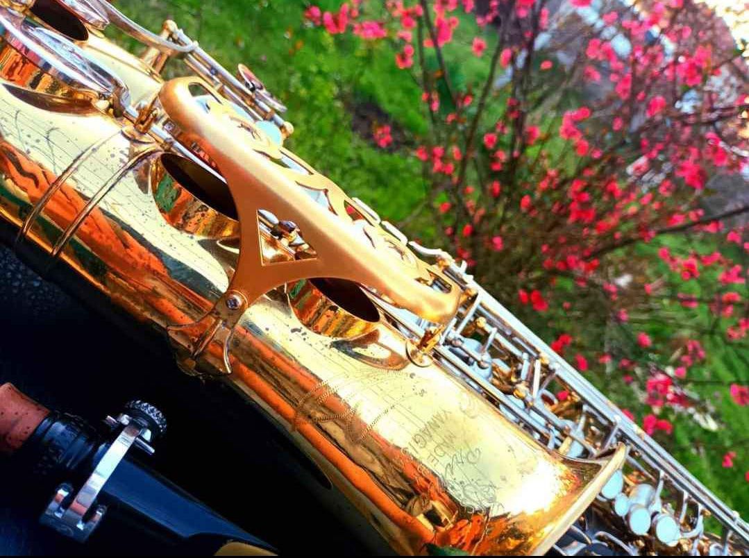 Алт саксофон YANAGISAWA