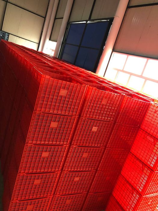 Ящик Пластмассовые ящики вместимостью 25 и 50 кг