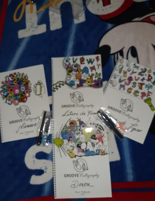 Set 4 Caiete Groove Caligraphy cu 2 seturi de pix