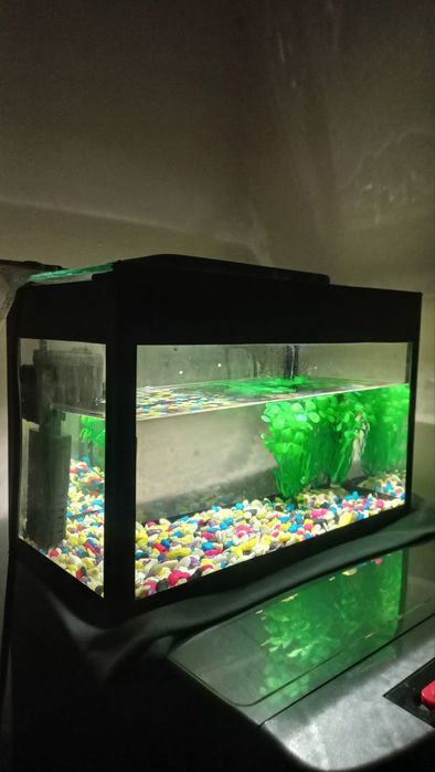 akvarium sotiladi