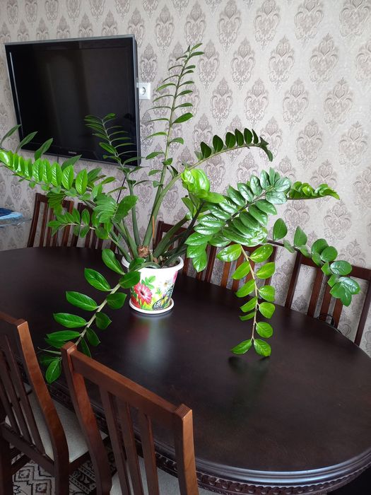 Продам стол 3метра