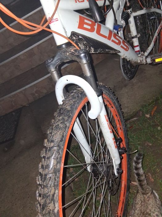 De vânzare bicicleta bliss