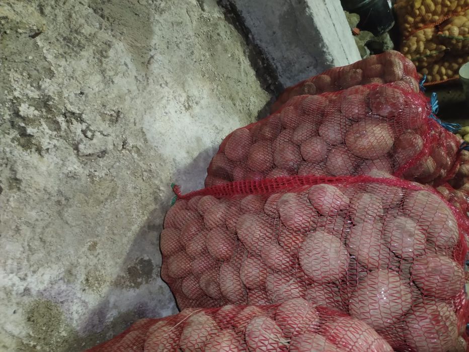 Cartofi roși de consum