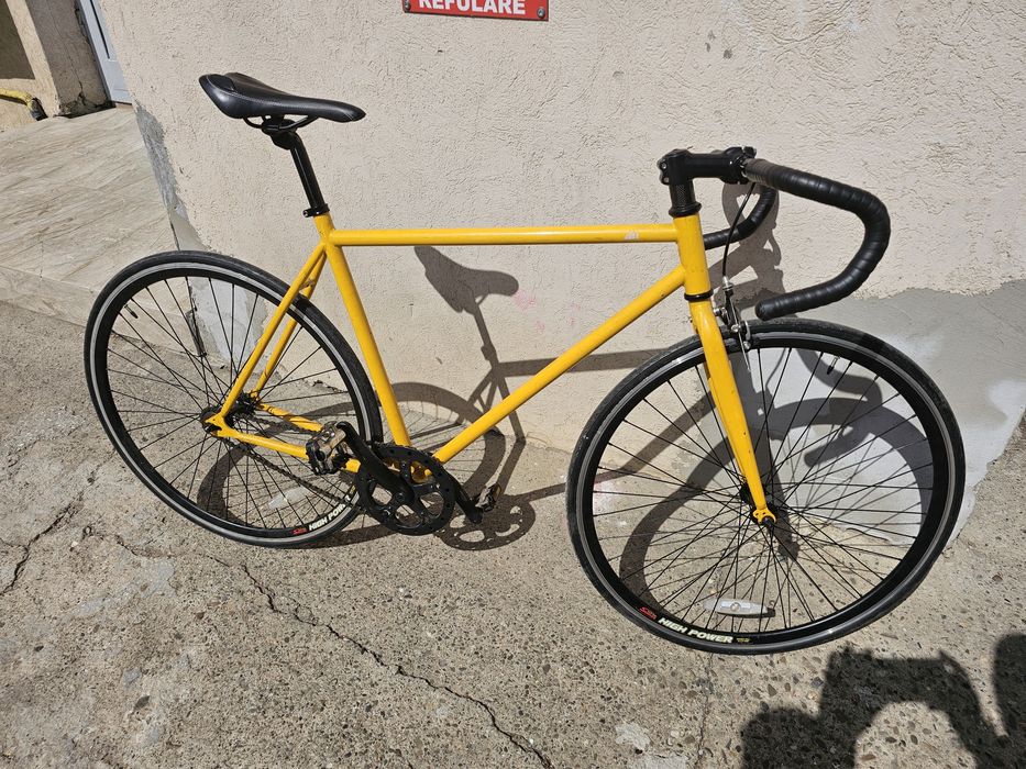 Semicursiera galbena