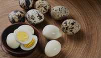 Перепелинные Яйца по 30 тенге оптом