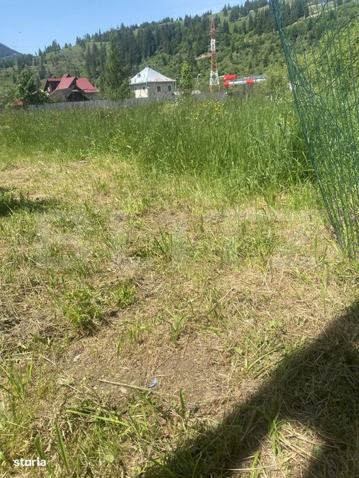Teren intravilan in Vatra Dornei, 1000 mp