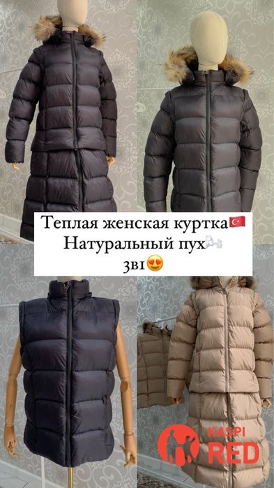 Женский, мужской куртка, кофта, поло сатылад