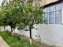 Apartament 3 camere la parter,cartier Dancu