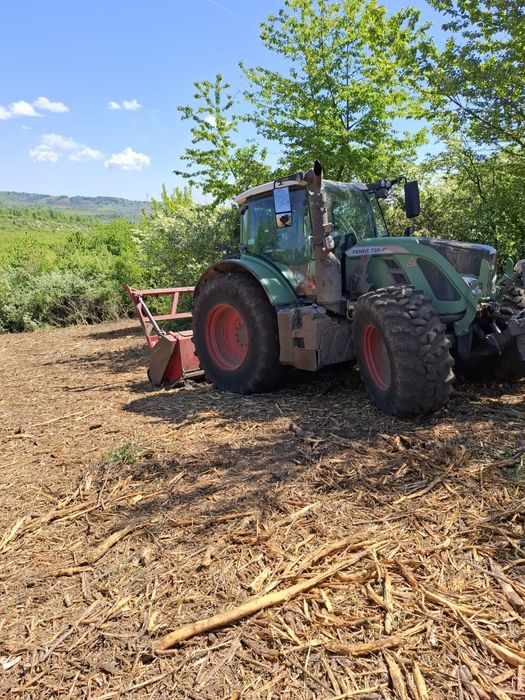 Defrișări și întreținere pășunat