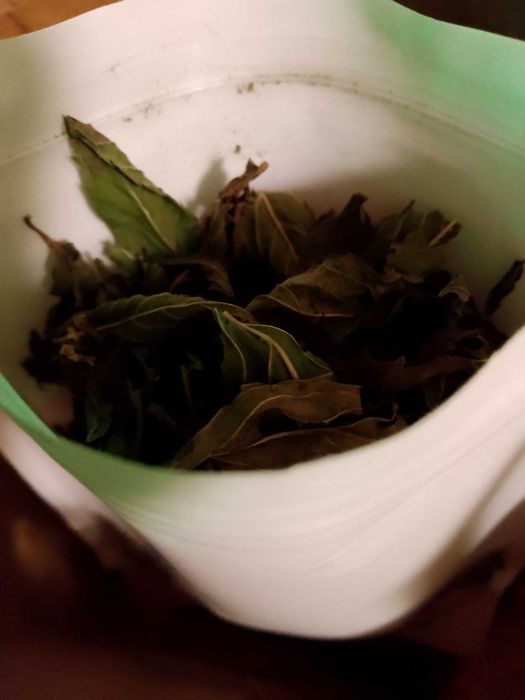 Menta DOAR FRUNZE , de gradina 200 gr.