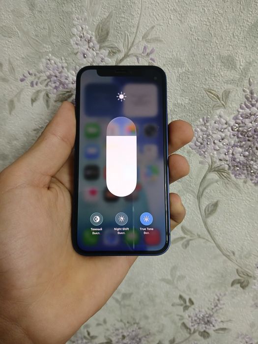 IPhone 12 mini ideal