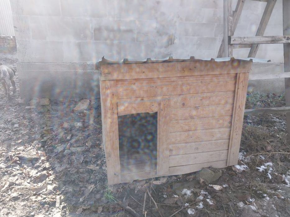 Будка для собаки