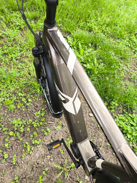 E Bike Raymon TourRay E 5.0