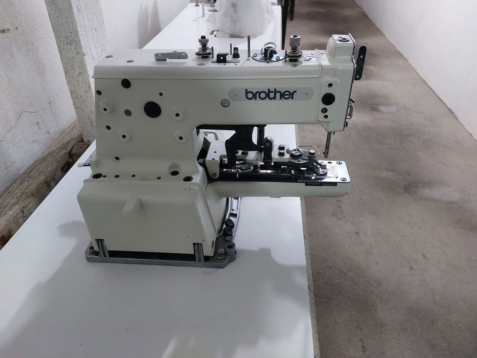 Двухиголка швений ва тугма.