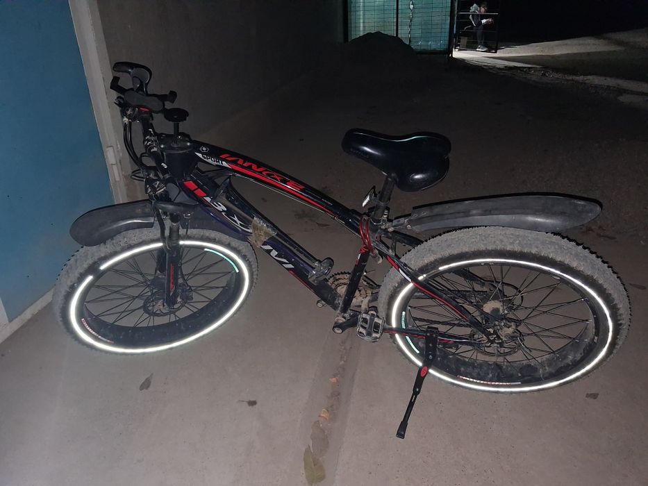 Волосепет 2020 07