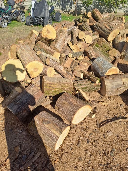 Lemne pentru uz casnic , 650 lei m cub !!!