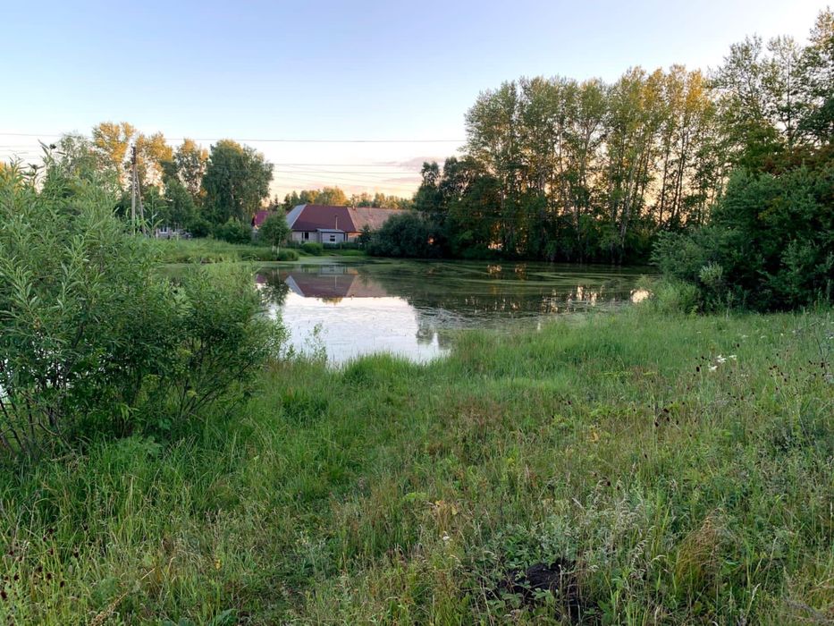 Продам участок в лесном массиве