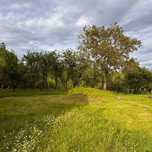 Teren de 4774 mp cu livadă - Ștubeiu, Teișani, jud. Prahova