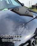 Mașina ta merită să strălucească! Polish Profesional – 100 lei / piesă