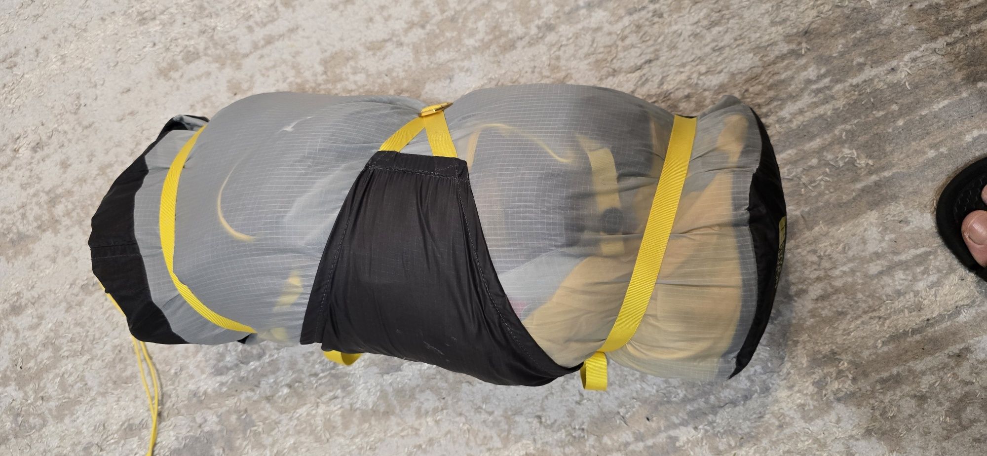 Cort north face triarch