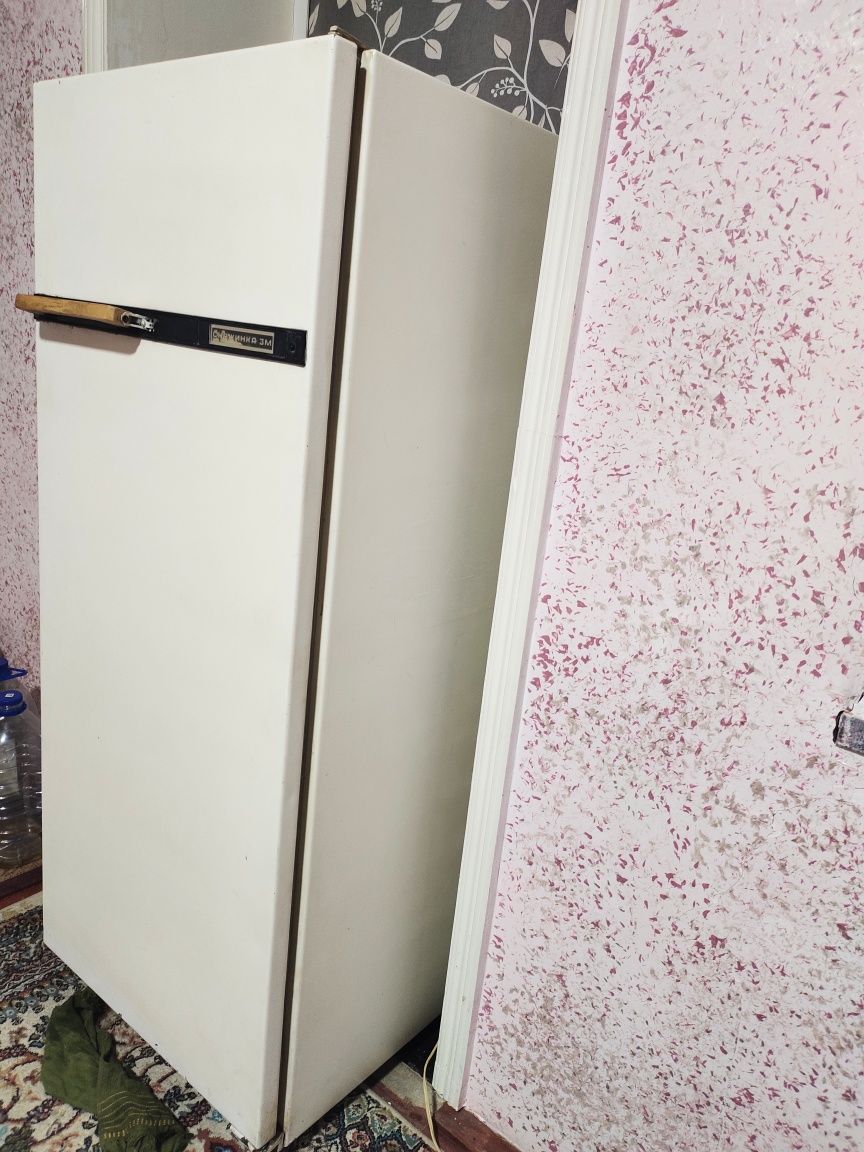 Холодильник "Снежинка 3М"