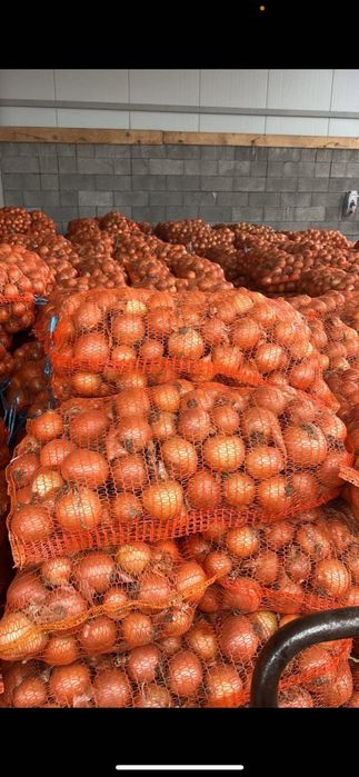 Ceapă albă de vânzare!!!