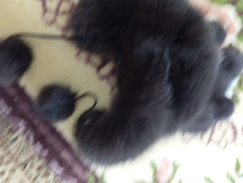 Продам зимние шапки