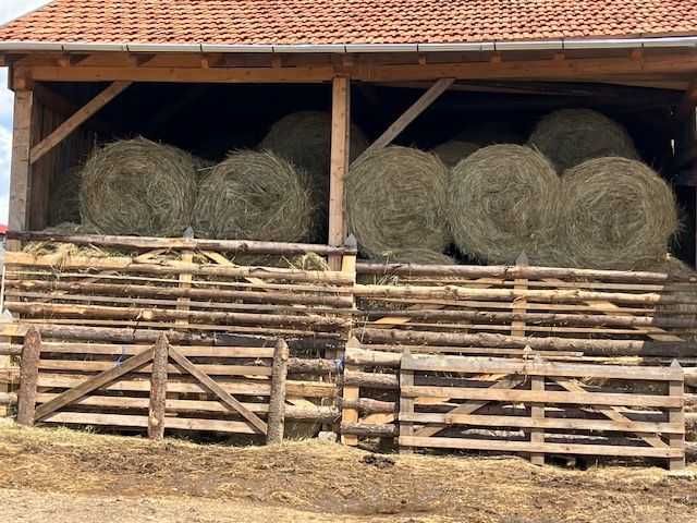 Baloti de fan rotunde de 250 kg