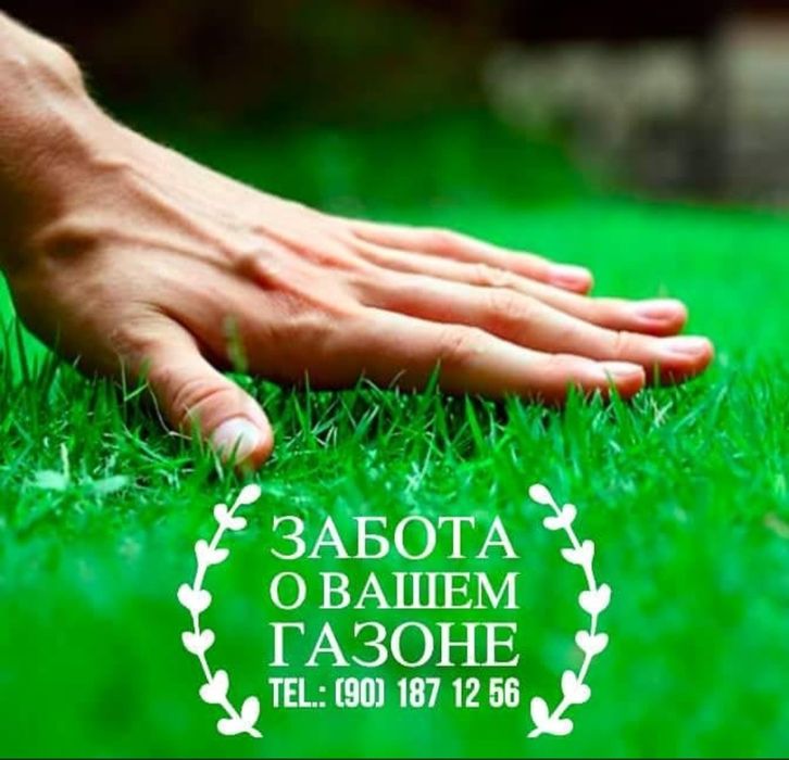 Забота о вашем газоне