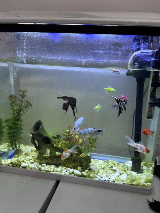 Аквариум заводской 40 литров