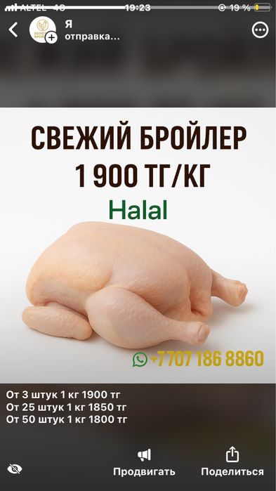 Свежие тушки бройлера — Халяль, натуральный корм