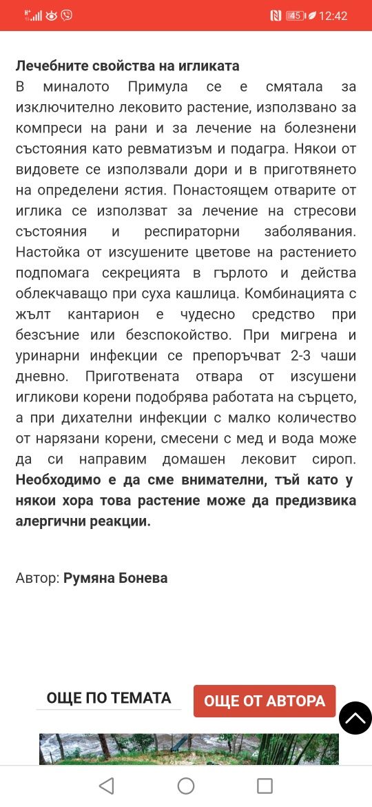 Градинска иглика в 4 цвята