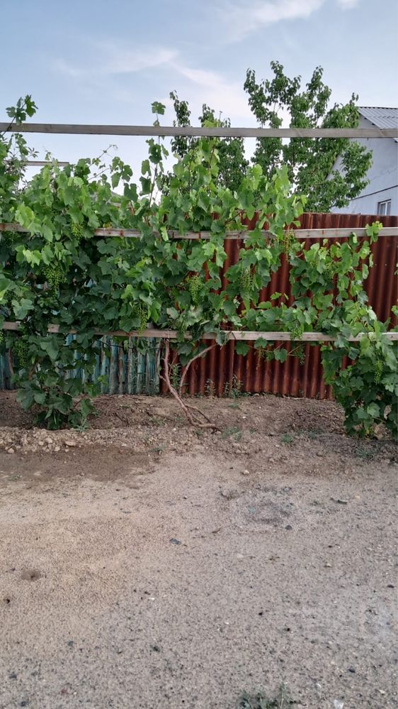 продом частный дом