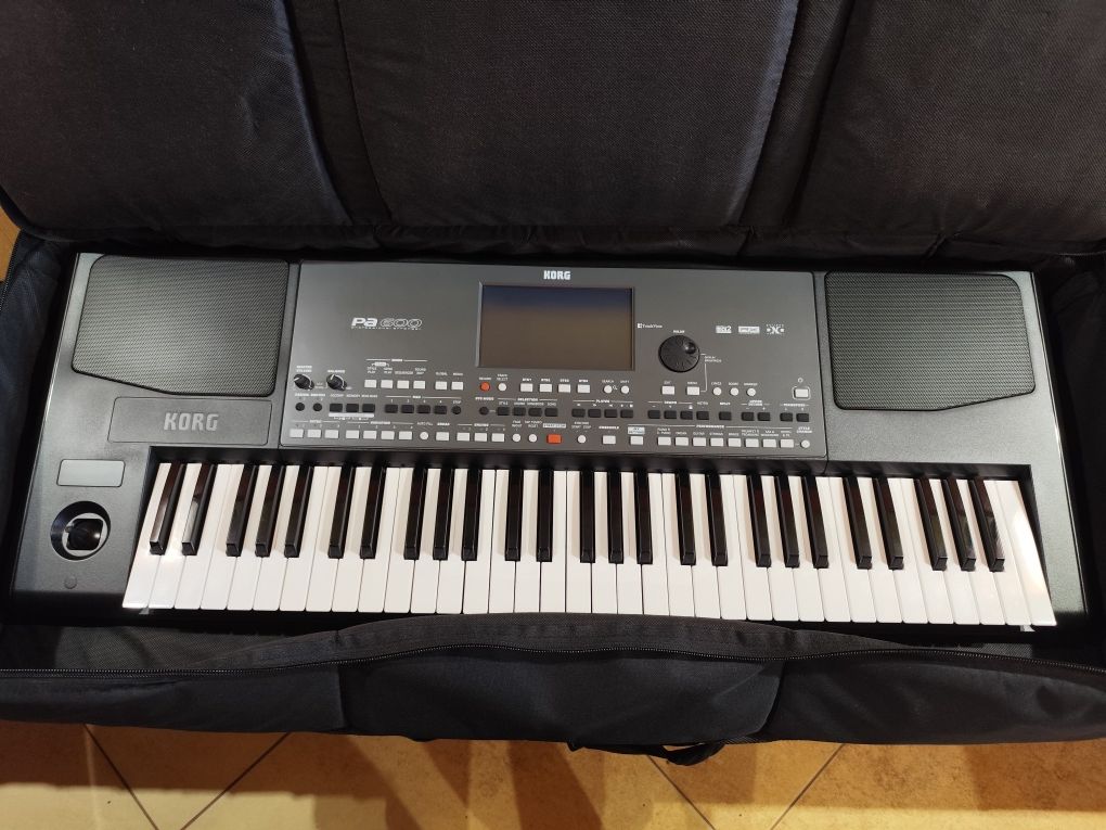 Korg pa600_па600